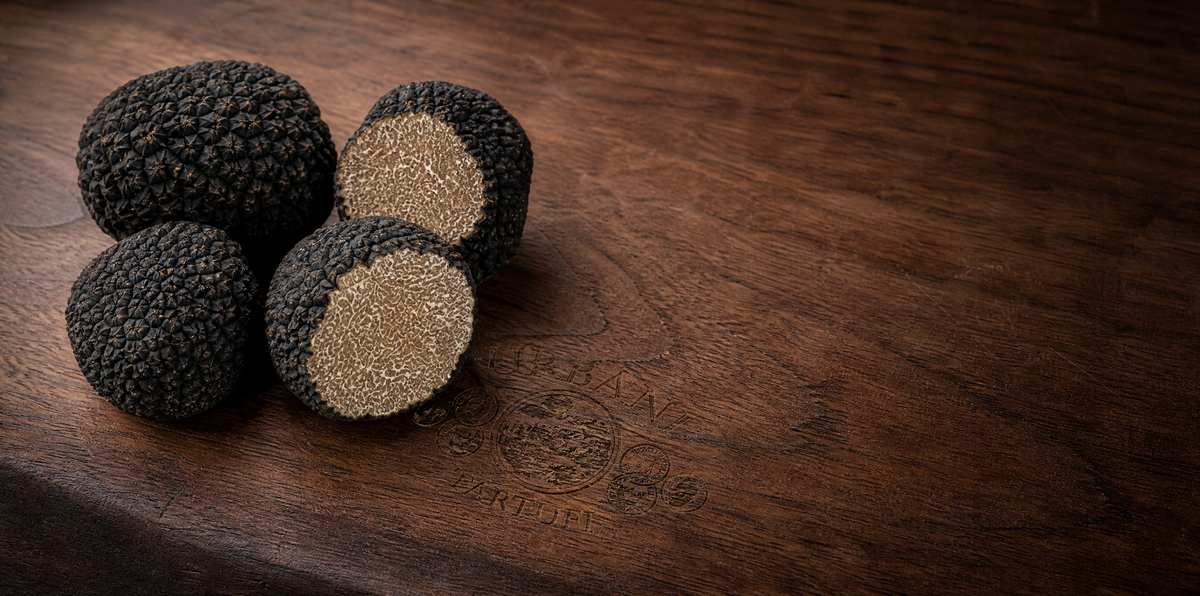 Fresh Truffles