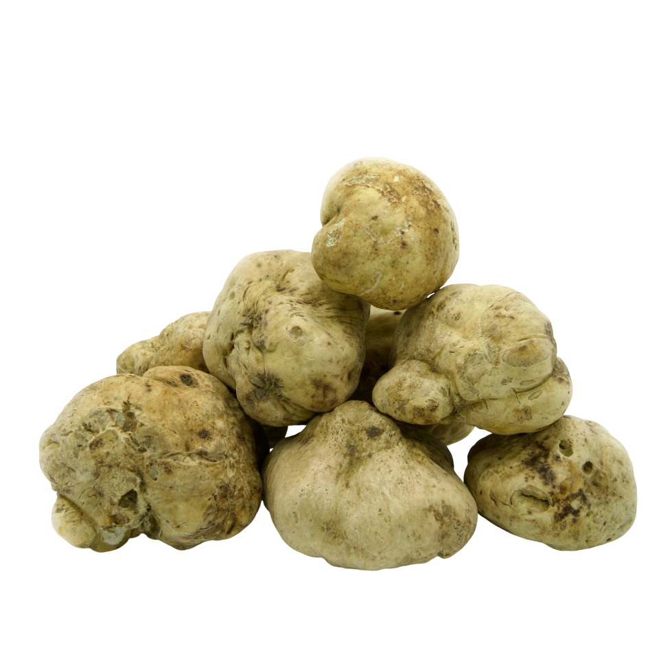 White Alba Truffles