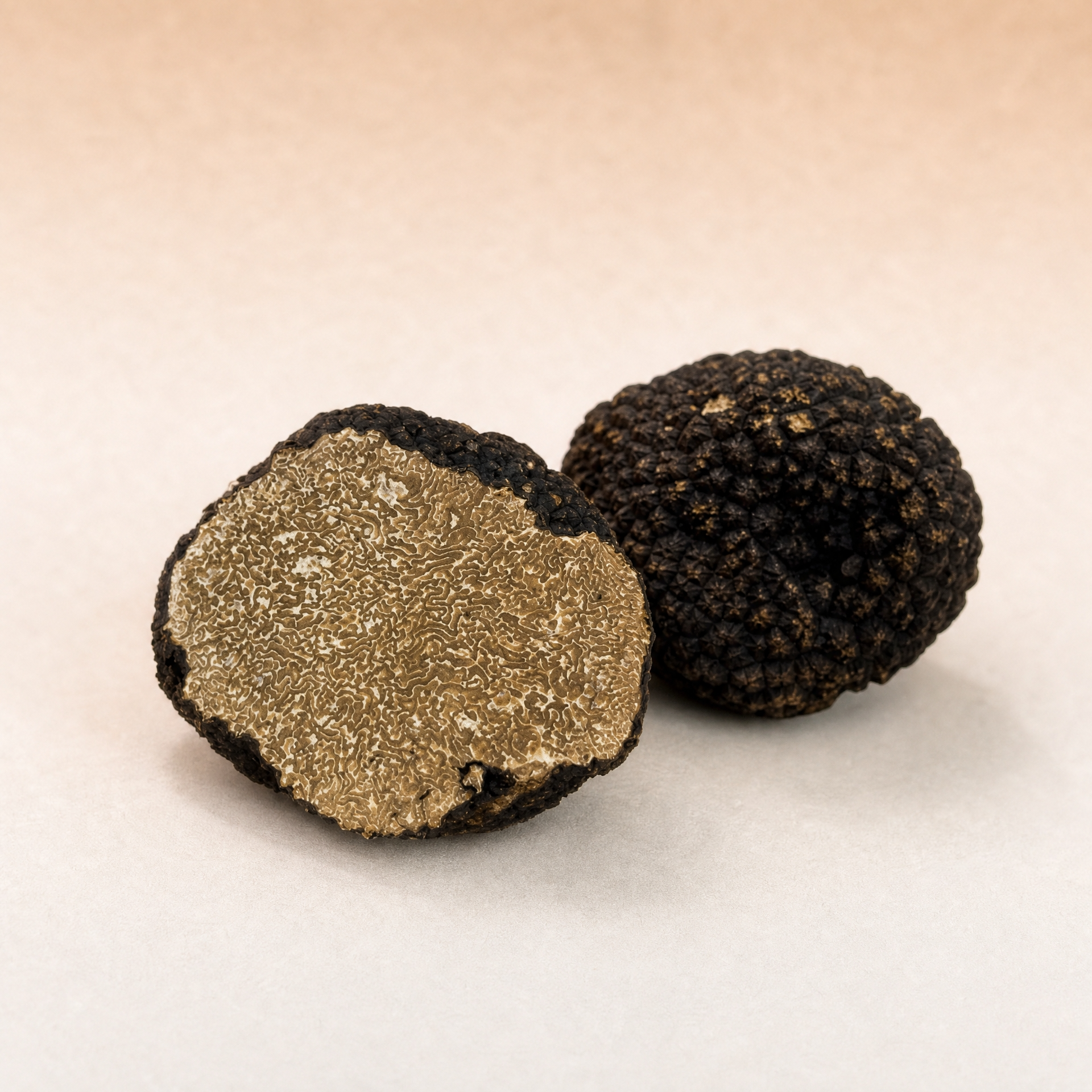 Black Burgundy Truffles | Tuber Uncinatum