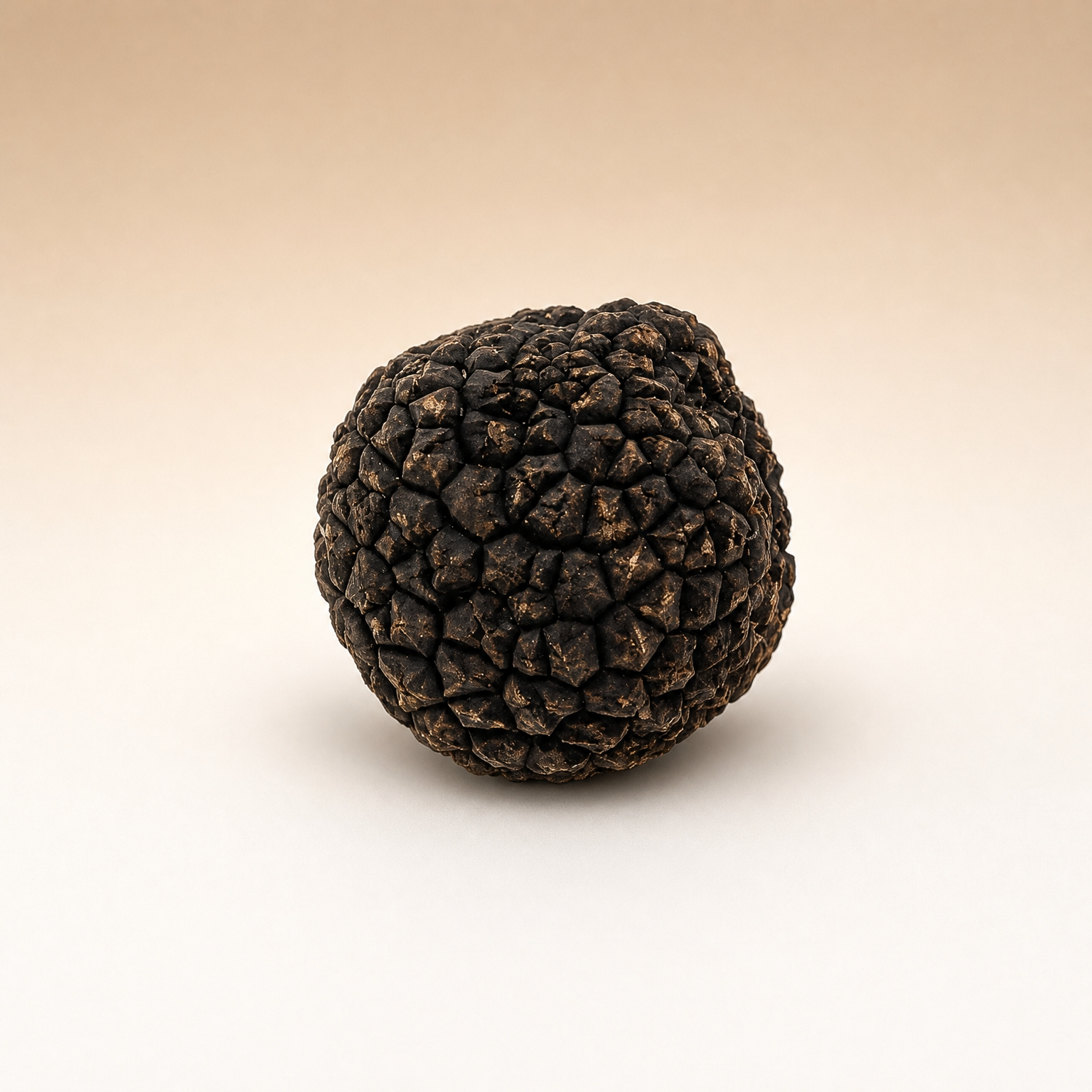 Australian Black Truffles