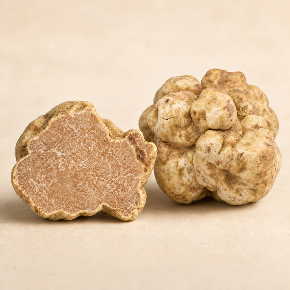White Alba Truffles | Tuber Magnatum Pico