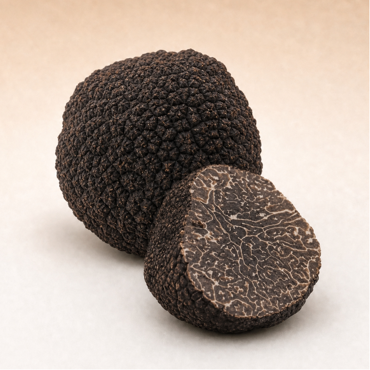 Black Winter Truffles | Tuber Melanosporum