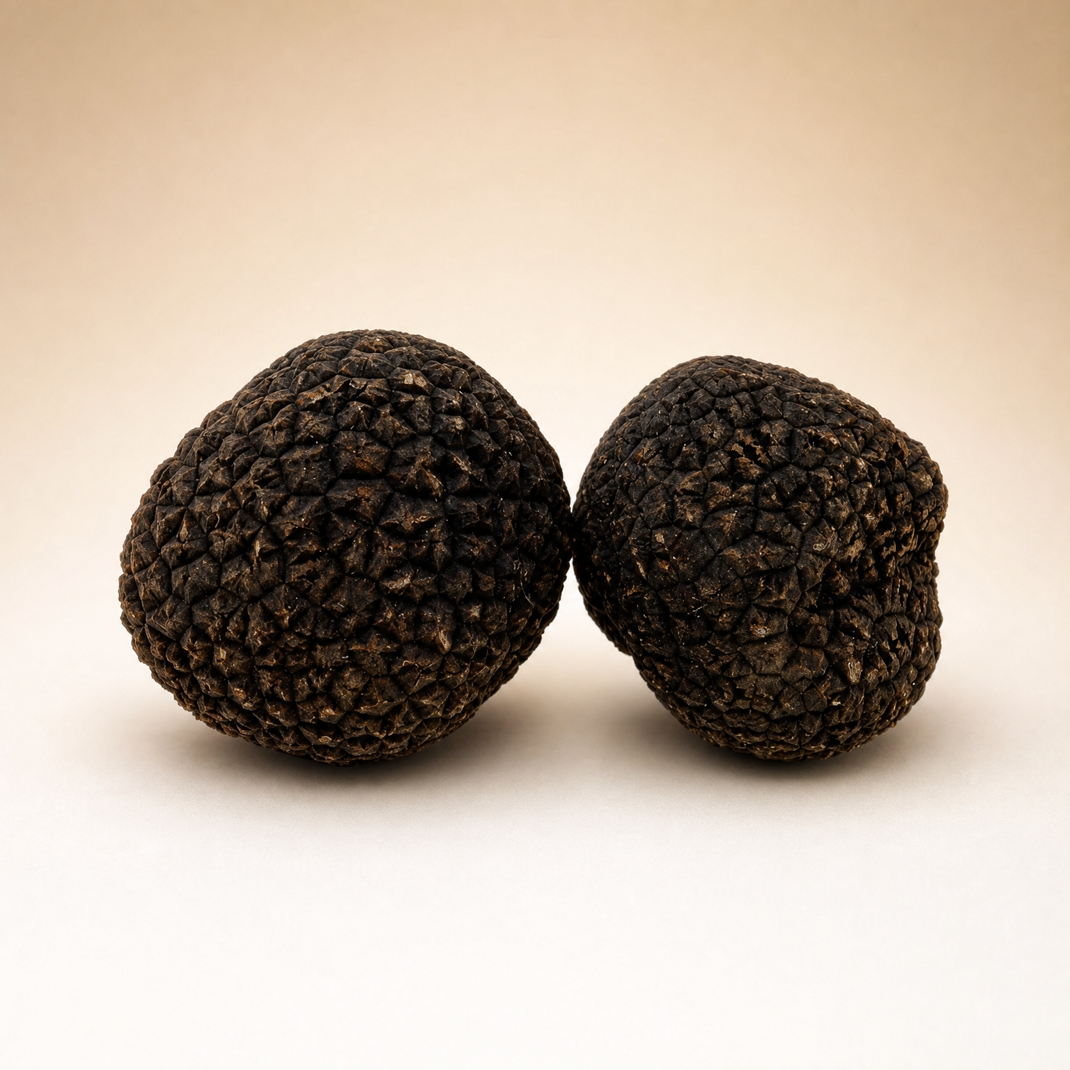Australian Black Truffles