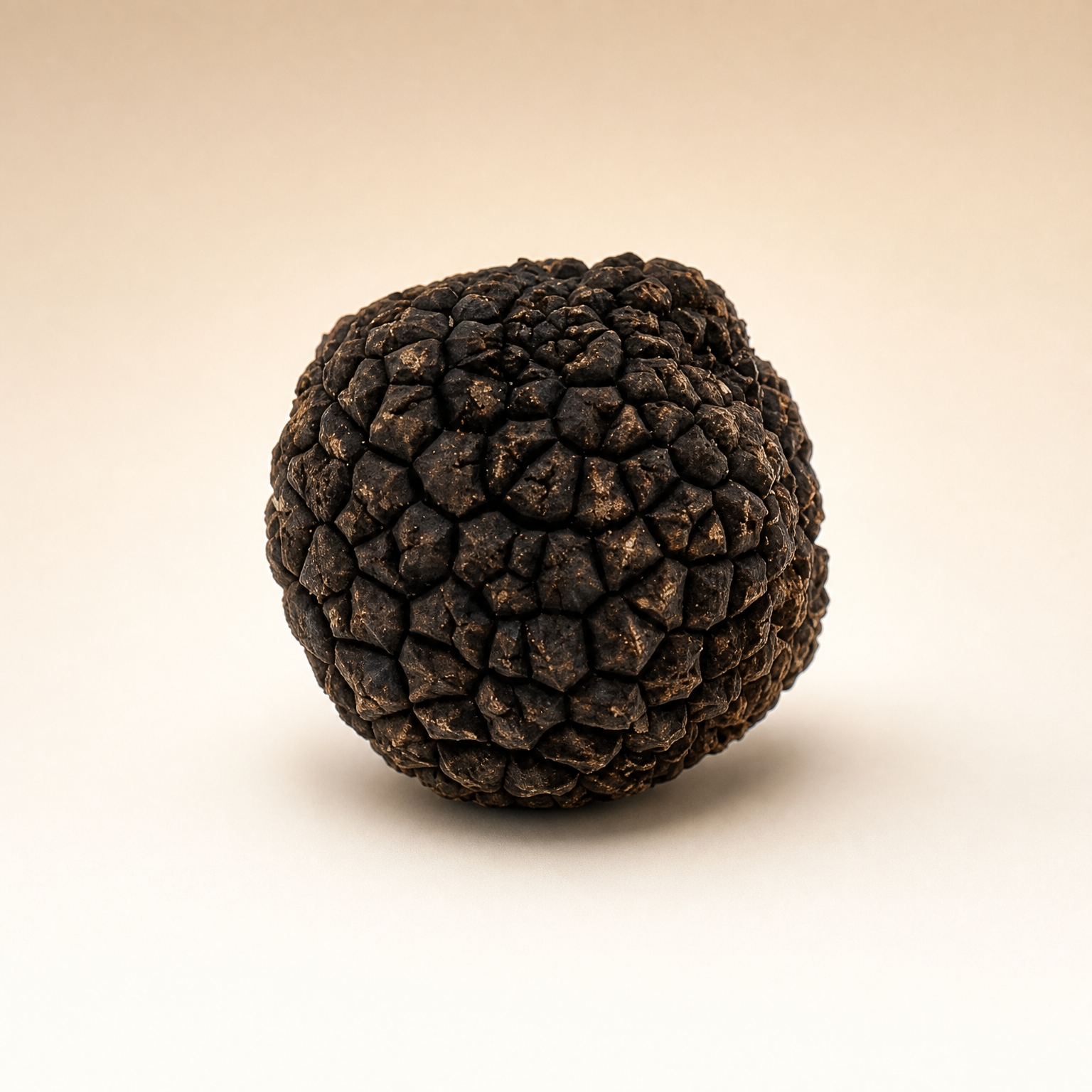 Australian Black Truffles