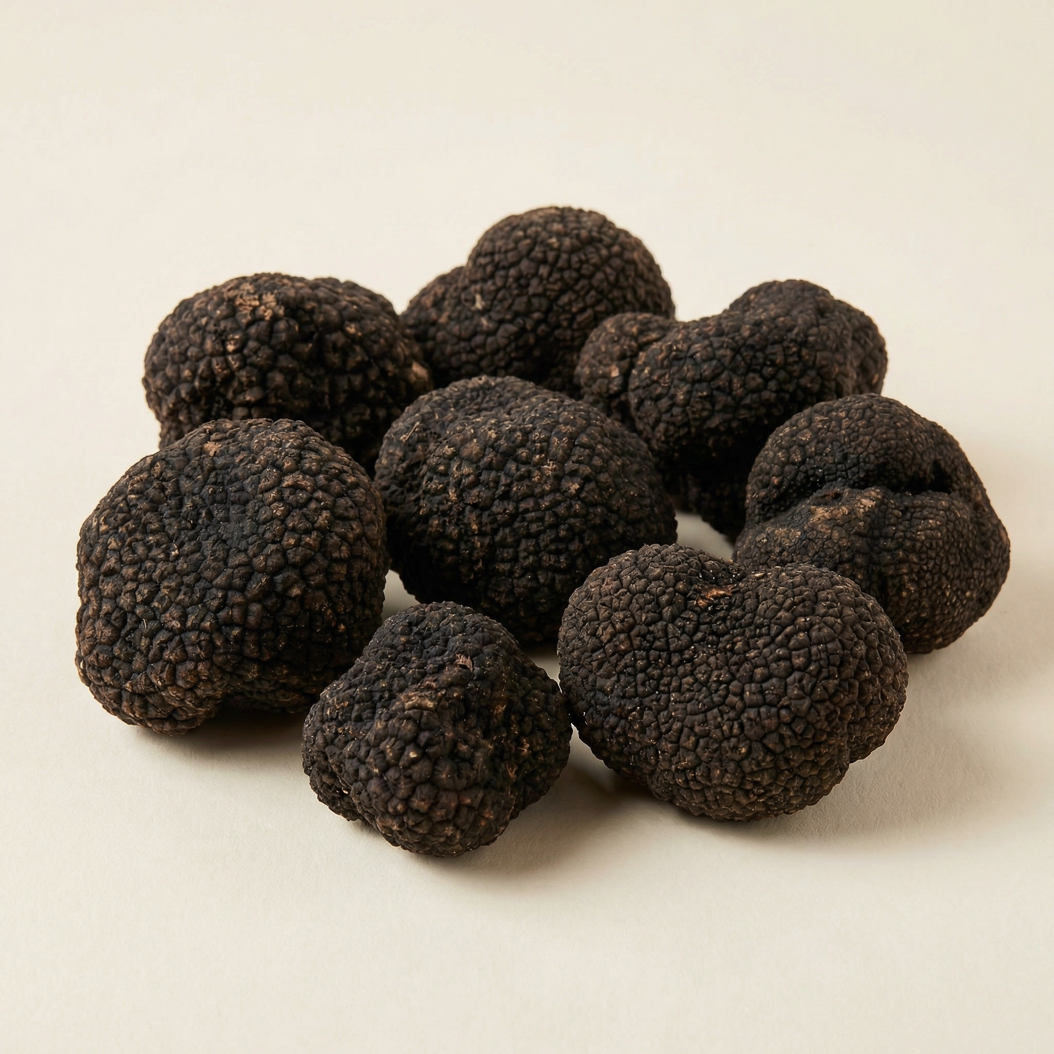 Black Summer Truffles