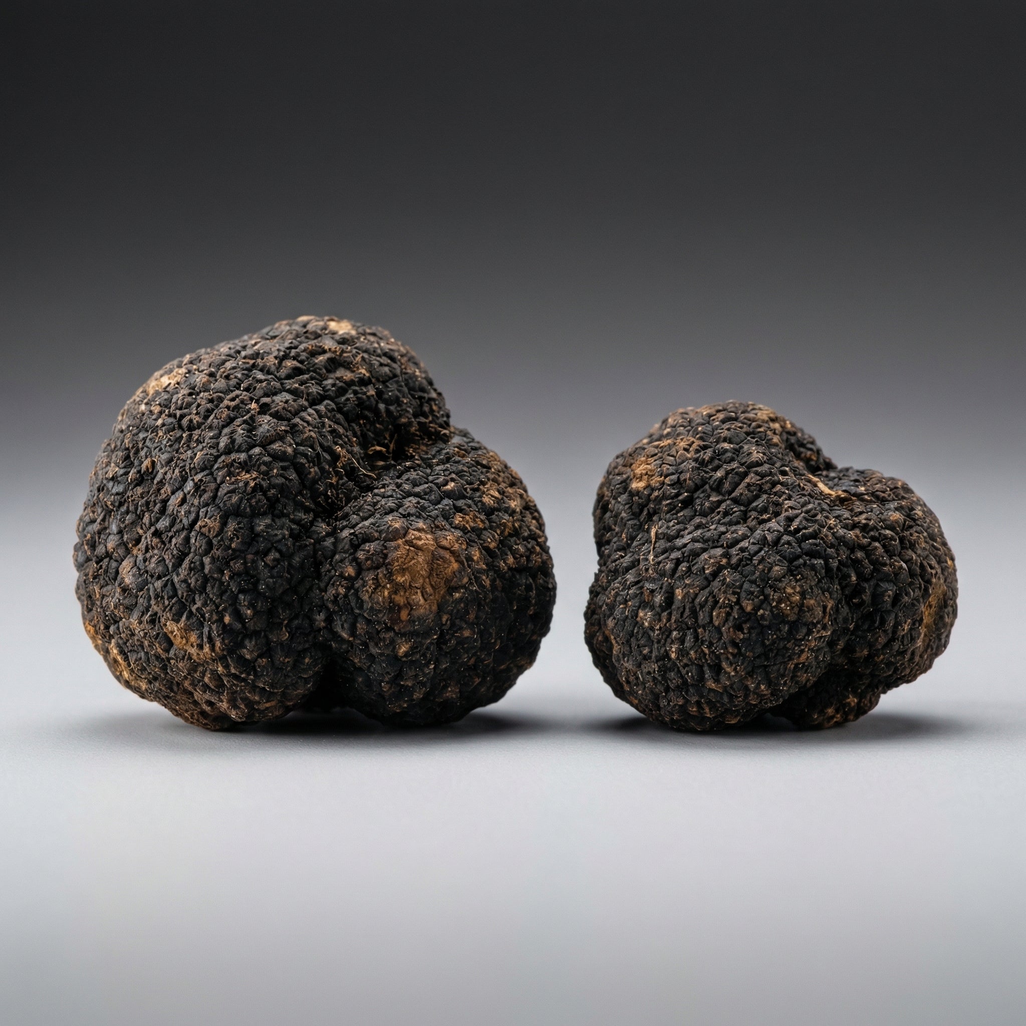 Black Winter Truffles