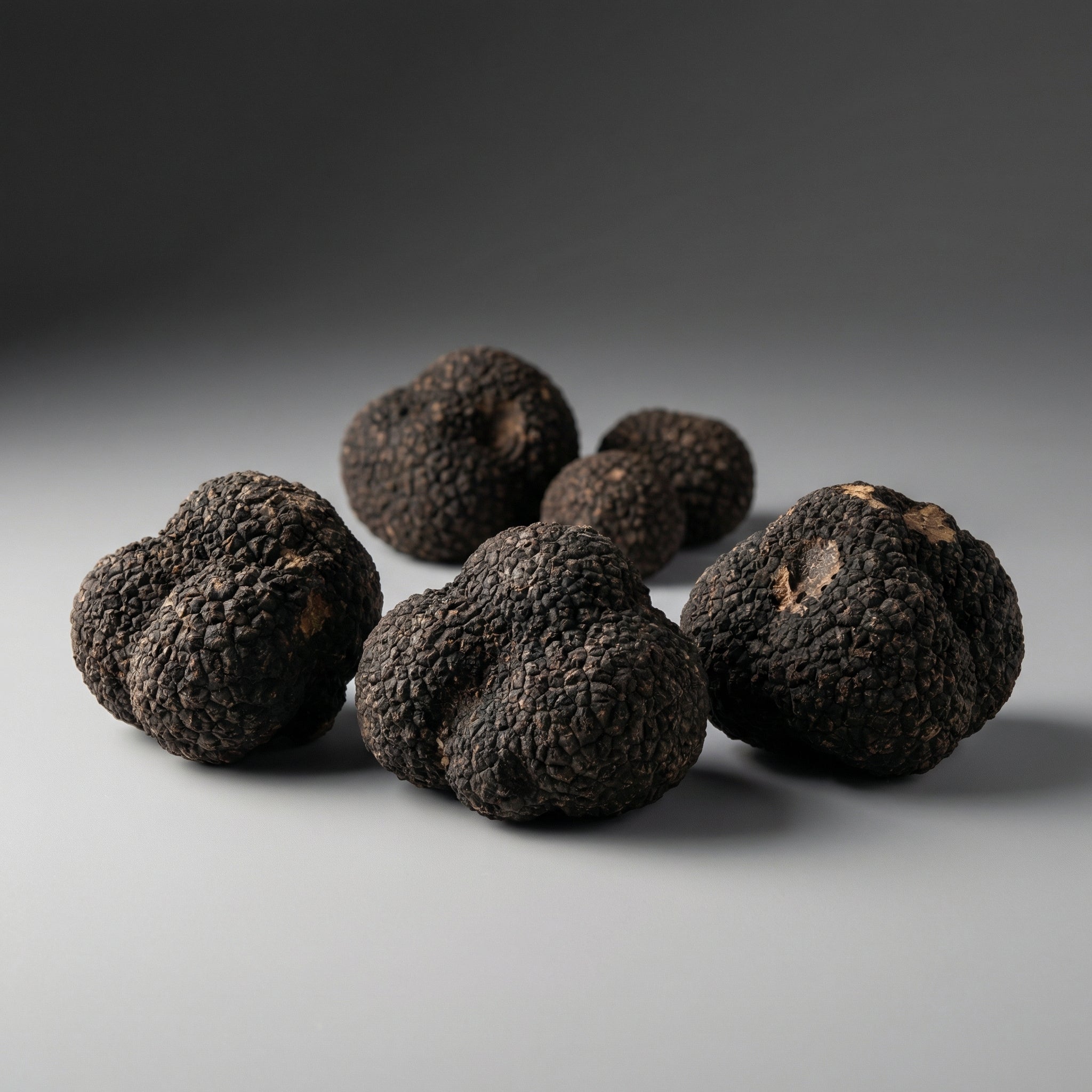 Black Winter Truffles