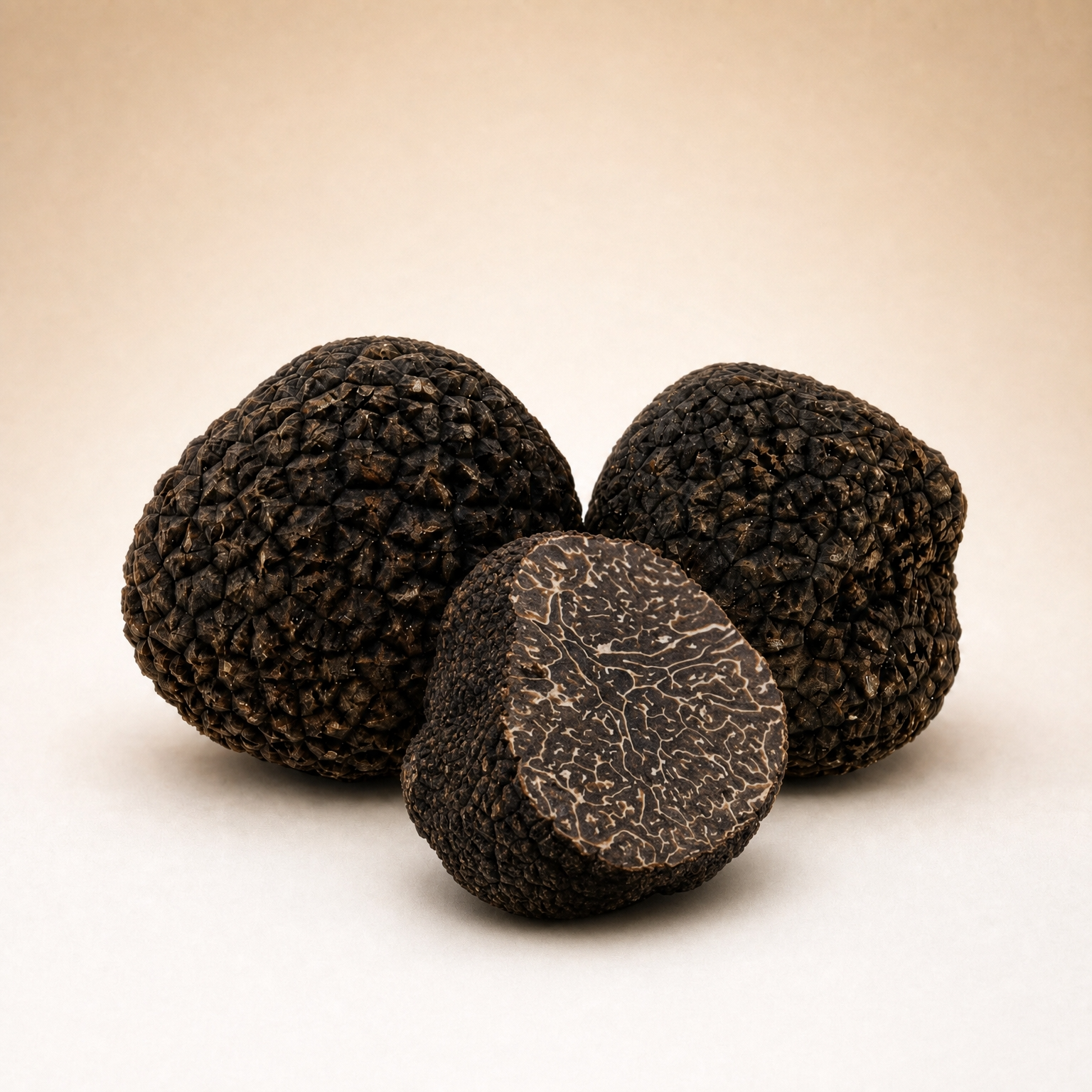 Black Winter Truffles | Tuber Melanosporum