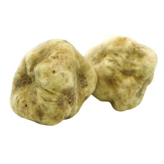White Alba Truffles