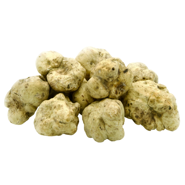 White Alba Truffles