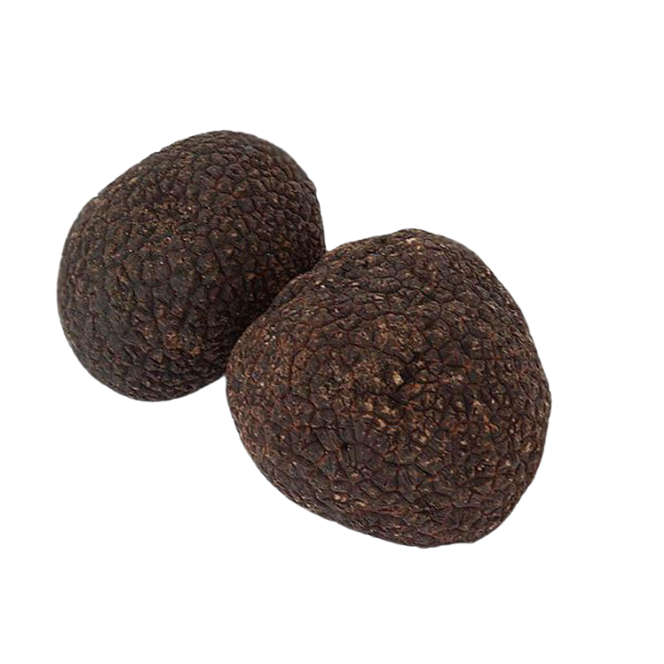 Black Winter Truffles