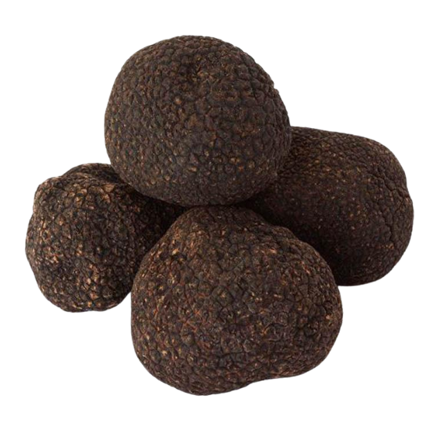 Black Winter Truffles