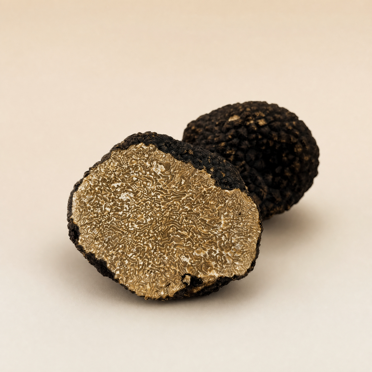 Black Autumn Truffles | Tuber Uncinatum